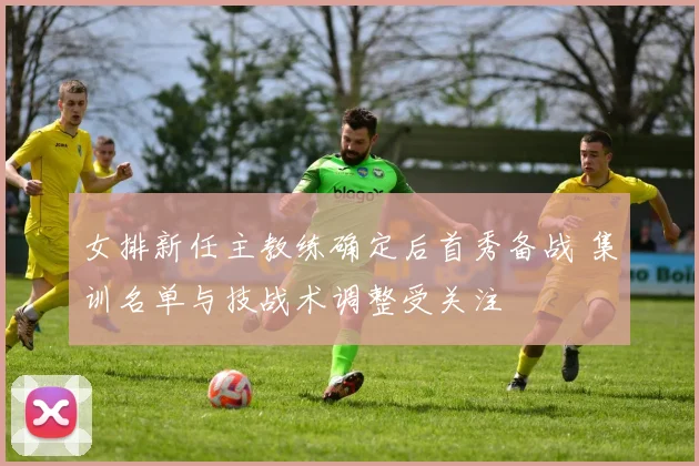 女排新任主教练确定后首秀备战 集训名单与技战术调整受关注